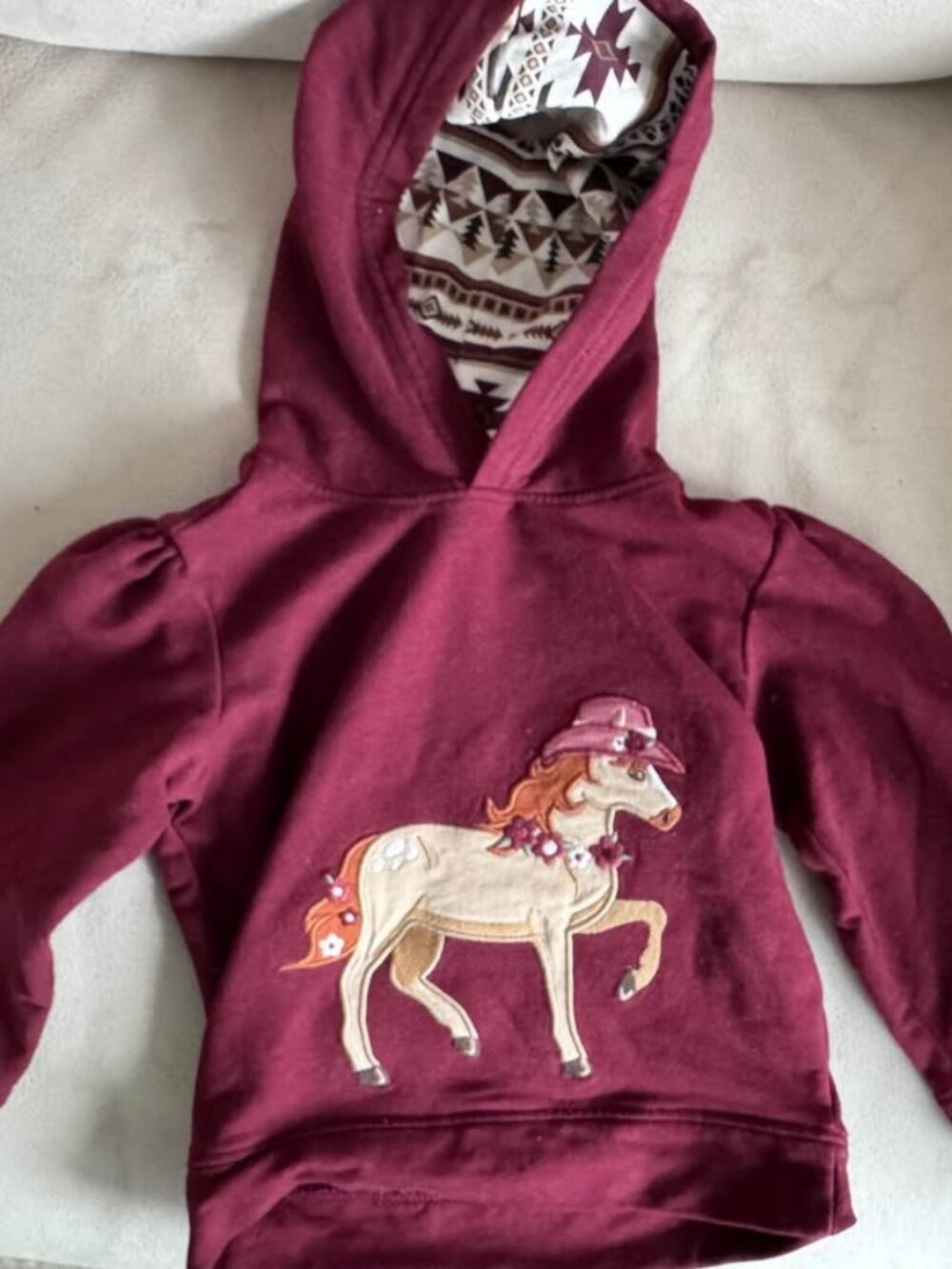 Gymboree embroidered horse hoodie size 24 months